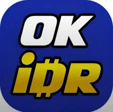 OKIDR - Sebuah Permainan Strategis yang Terinspirasi dari Kehidupan Nyata